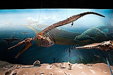 《GTA：三部曲-终极版》PS5版容量曝光 比Xbox要小